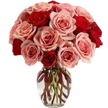 12 Peach & 6 Red Roses in Vase