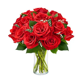 12 Red Roses in Vase