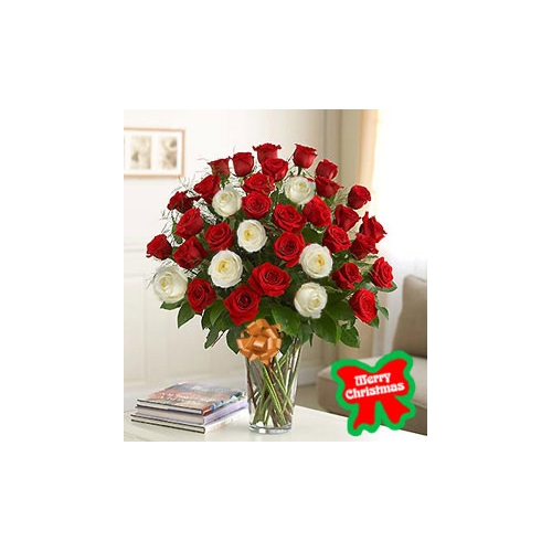 36 Red and White Roses in Vase