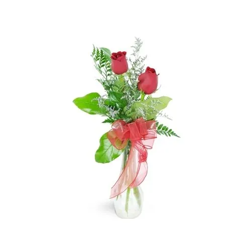 2 Red Roses with Greenery in Vase