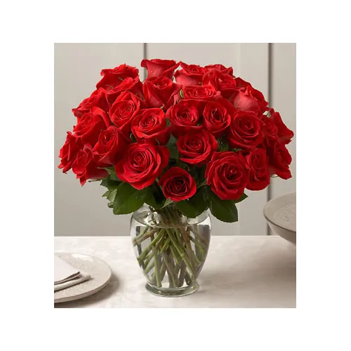 24 Red Roses in Vase