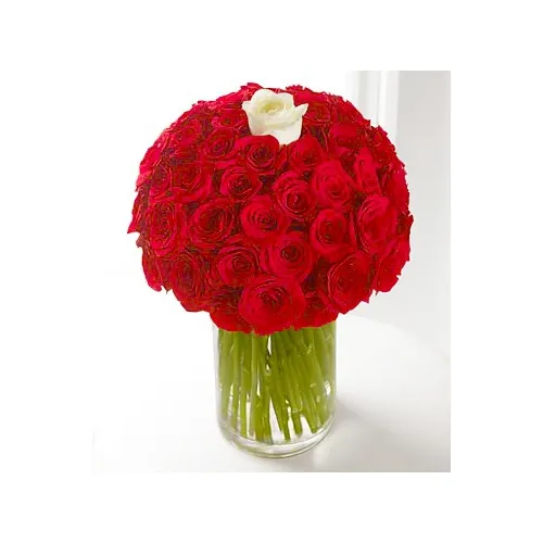 49 Red  & 1 White Roses in Vase