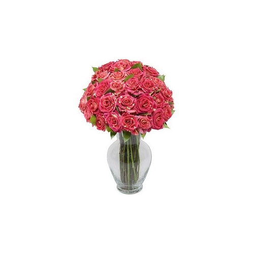 36 Pink Roses in Vase