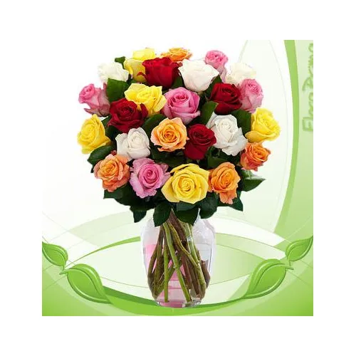 24 Mixed Color Roses in Vase