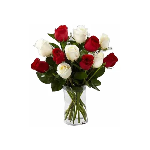 6 White & 6 Red Roses in Vase